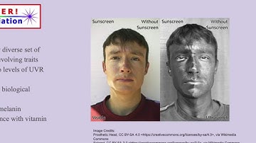 The Genetic Architecture of Skin Pigmentation