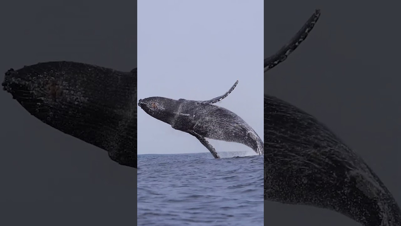 Thanks for all ❤️, Finally we are got 1 lakh Subscribers  