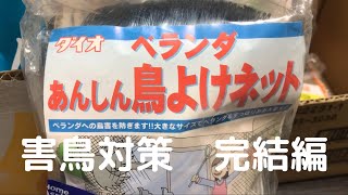 害鳥対策【完結編】【ベランダに鳥よけネットを張ってみた】【2022/2/1】