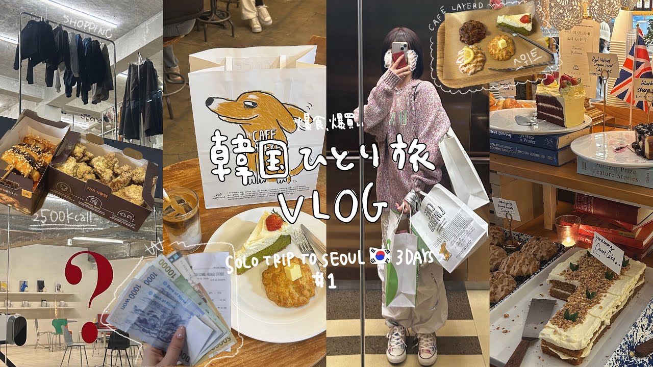初心者のドタバタ韓国ひとり旅🇰🇷爆食,爆買い,毎日がチートデイな旅行 #1