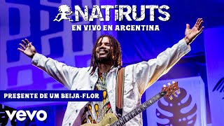 Natiruts - Presente De Um Beija-Flor Ao Vivo