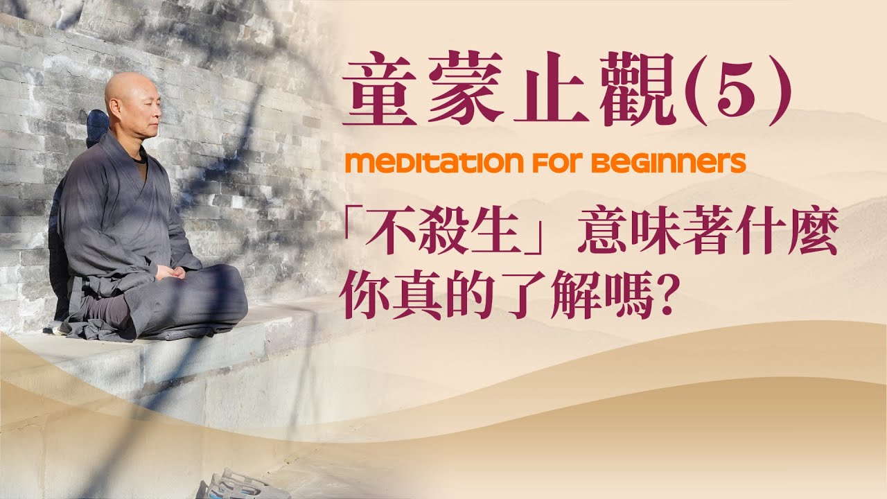 童蒙止觀|05 「不殺生」意味著什麼,你真的了解嗎?Meditation for Beginners - YouTube