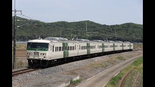 【約2年ぶりの運用】185系 あしかが大藤まつり号