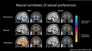 Neuroscience of sexual orientation, reward, learning, personality, and flexibility