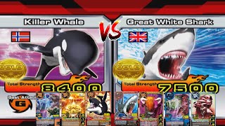 Killer Whale VS Great White Shark | 3 Game | Best of 3 | Versus Mode | Animal Kaiser Evo 8 — Eps 70