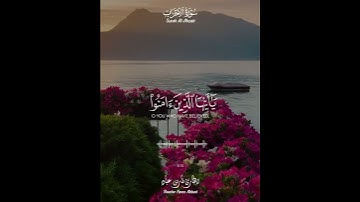 القارئ_فارس_عباد سورة_الاحزاب #القرآن_الكريم #فارس_عباد #سورة_الأحزاب