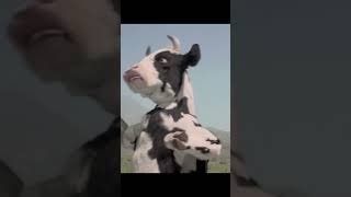 Kung Pow: Enter the Fist (4/5)MovieCLIP-Cow Fight (2026) HD