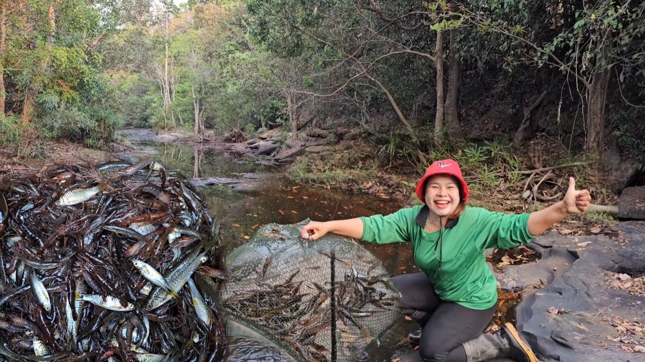 กุ้งแก่งหิน! หมานๆเลยจ้า​ กุ้งโหม่ง​ กุ้งก้ามหาดูยาก​ ไม่ได้มีทั่วไปมีเฉพาะถิ่นดิ้นแตกซวดๆ​ 22ก.พ.69