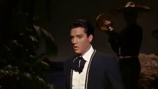 Elvis Presley - El Toro (live &amp; Lyrics)