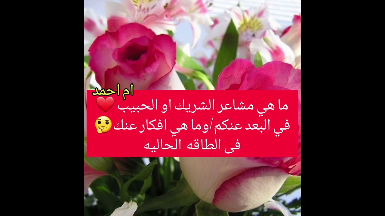 ما هي مشاعر الشريك او الحبيب ❤في البعد عنكم/وما هي افكار عنك🤔فى الطاقه  الحاليه