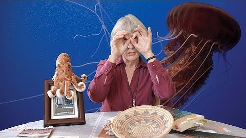 DONNA HARAWAY: STORY TELLING FOR EARTHLY SURVIVAL Trailer