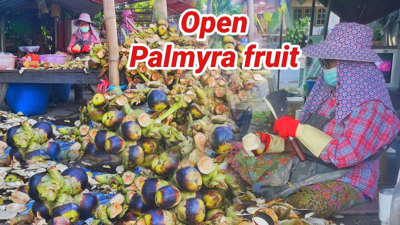 Palmyra palm Healthy fruit fresh | How to open toddy palm