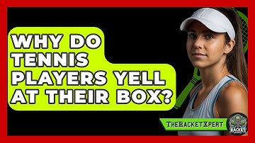 Why Do Tennis Players Yell At Their Box? - The Racket Xpert