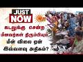 கடலுக்கு சென்ற மீனவர்கள் திரும்பியும் மீன் விலை ஏன் இவ்வளவு அதிகம்? | Nagapattinam Fishermen