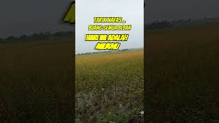 Download Lagu Tarik Nafas, Lepas Beban β Pagi Ini Milikmu π
#semangatpagi #inspirasi #motivasipagi #fyp #short MP3 Download Lagu Tarik Nafas, Lepas Beban β Pagi Ini Milikmu π
#semangatpagi #inspirasi #motivasipagi #fyp #short MP3