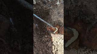 Verim 2 Kat Bi̇r Keser Bi̇r Torna Vi̇da