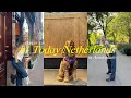 유럽브이로그1 :: Today Netherlands - Amsterdam