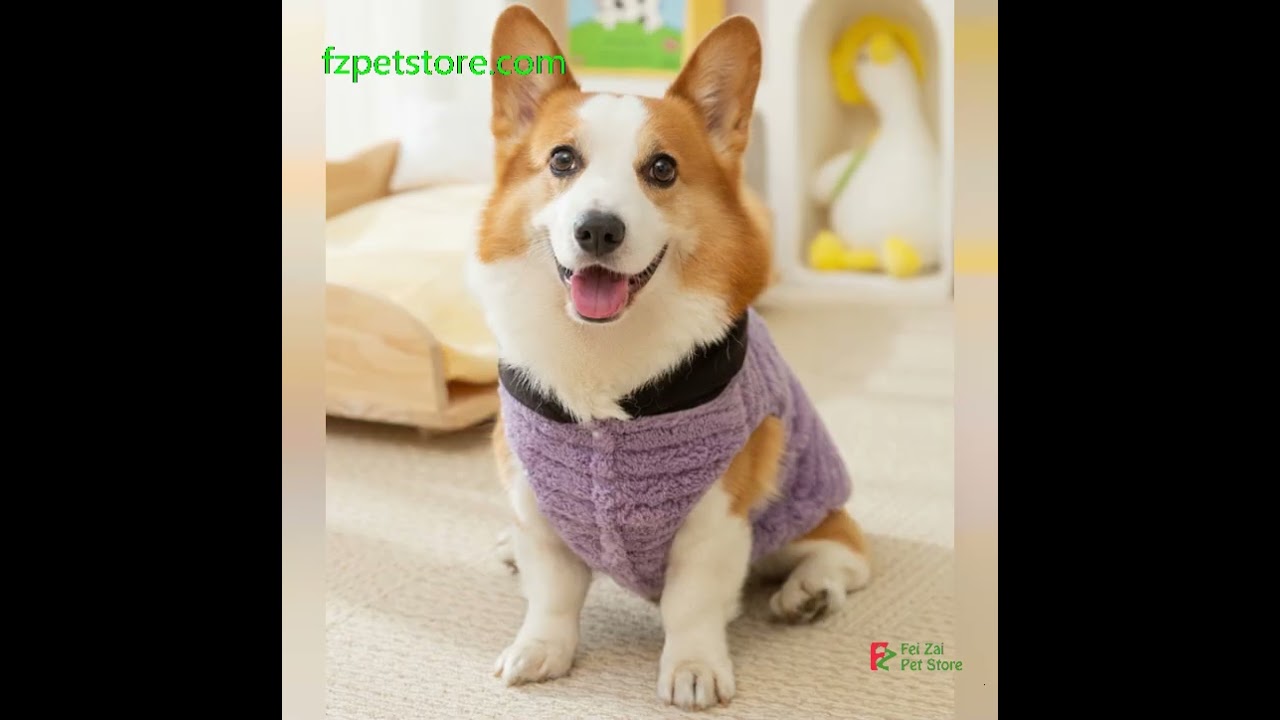 Autumn and winter dog comfortable cotton velvet Corgi two-legged  small and medium-sized dog clothes