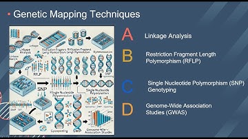 ECOM 6349 | Student Participations | Genetic Mapping