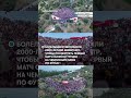 В Анталье болельщики сборной Турции на FIFA 2026 заполнили амфитеатр