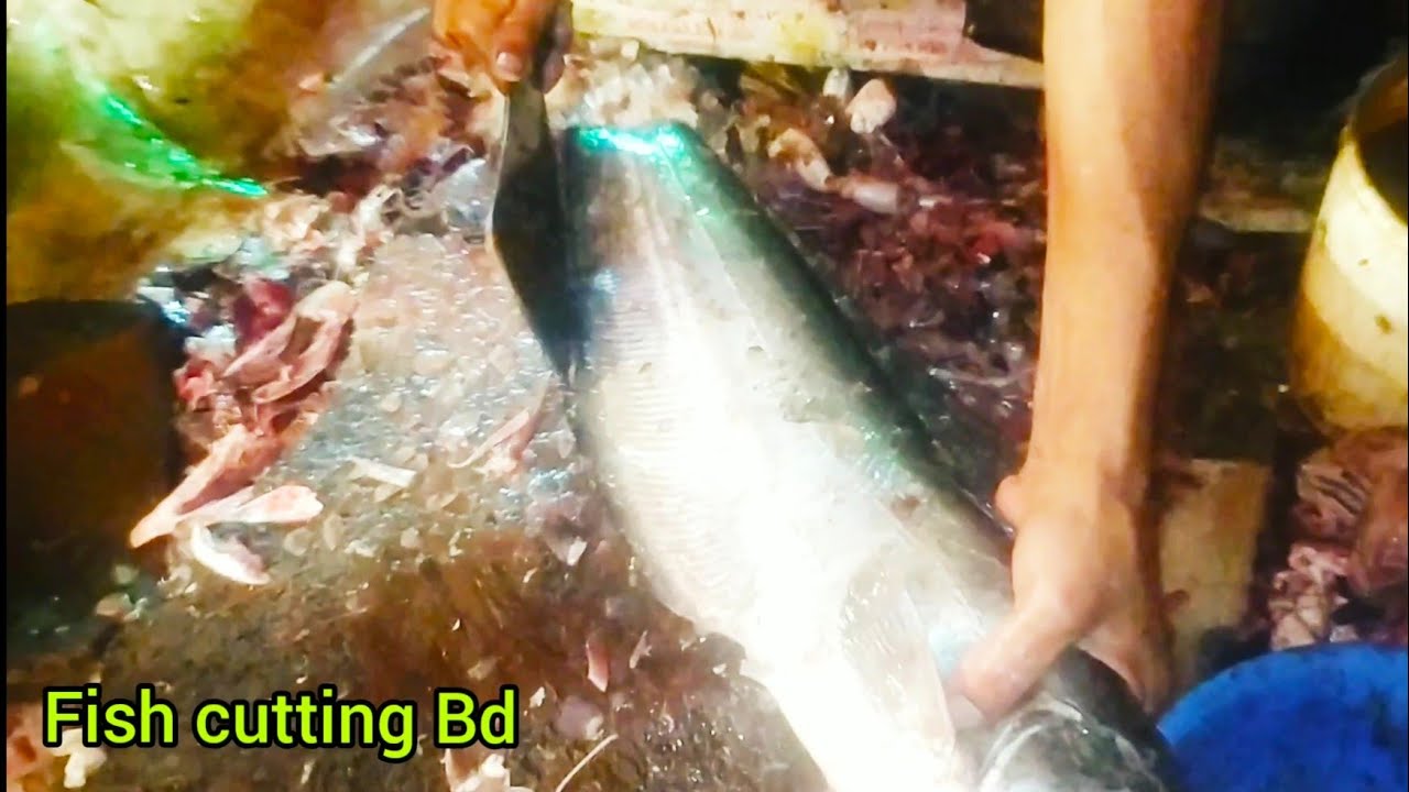 amazing fish cutting skill | big catfish boal fish cutting live in ...