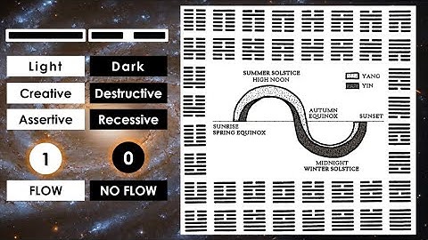 Binary Code and The Yin-Yang Cosmology