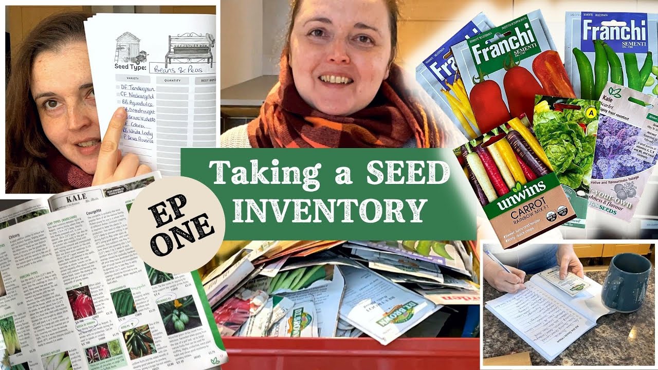 HOW MUCH FOOD CAN I GROW in a YEAR A cost of living crisis growing