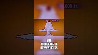 Living DOWNWIND of 235 nuclear bombs
Living DOWNWIND of 235 nuclear bombs Living DOWNWIND of 235 nuclear bombs
