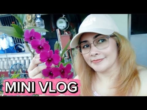 Walking Outside | I Will Show You Our Small Garden