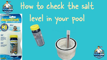 YOU CAN test the salt level in your salt pool?