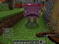 Minecraft Raiding A village Minecraft 1.21 bad omen