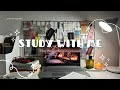 STUDY WITH ME📚| Pomodoro 25/5⏰| Late night cozy winter❄️ 