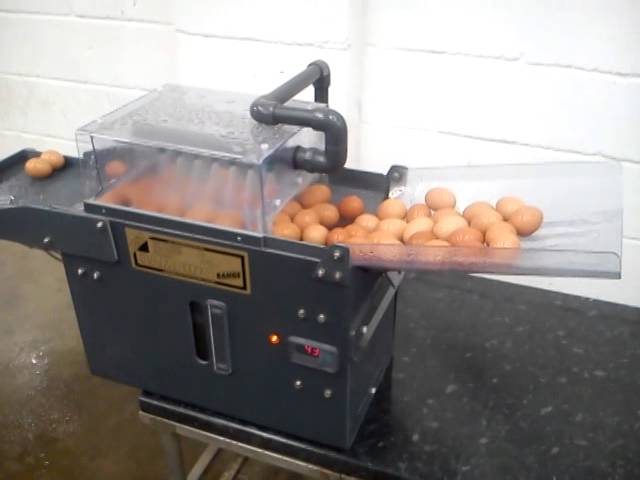 DIY Egg Washer 