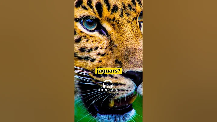 The SILENT THREAT Of The AMAZON - Joe Rogan #jre #joerogan