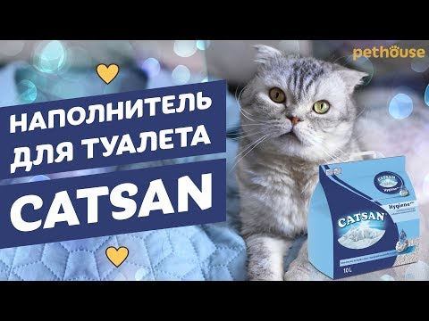 Video: Katsan: Cat Litter, Varieties, Advantages And Disadvantages, Method Of Application, Reviews