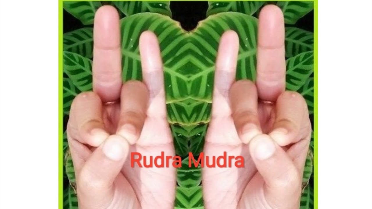 Vene varice de mudra yoga - Mudra și vene varicoase