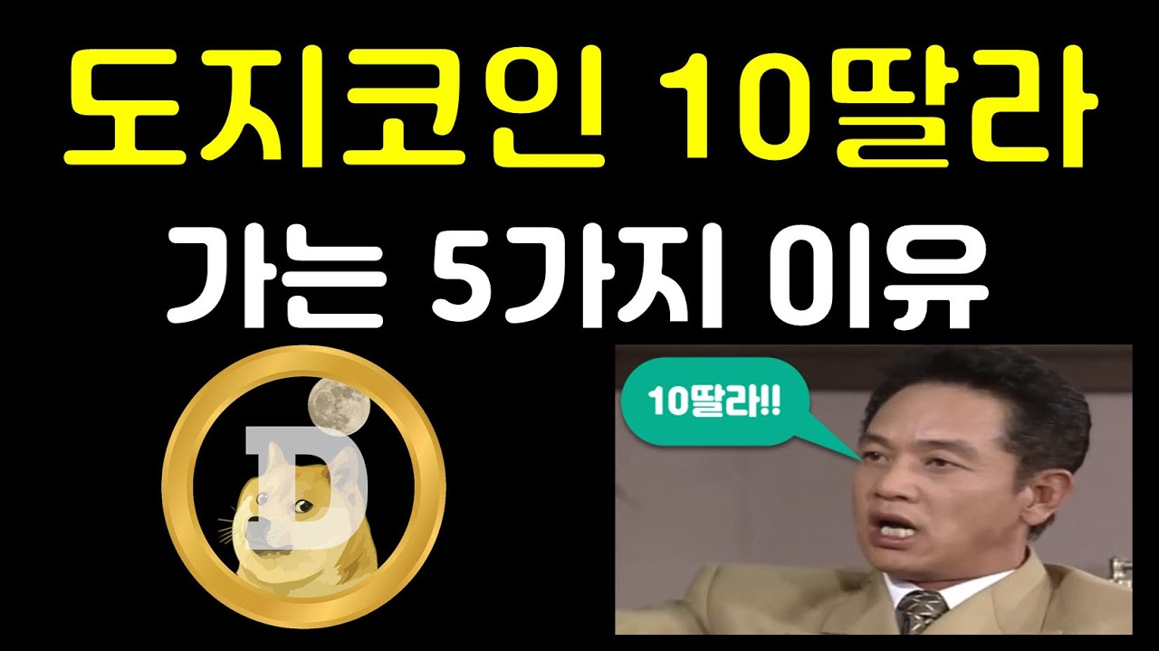 도지 코인 오늘 시세 New Update 도지코인이 12,000원 가는 5가지 이유