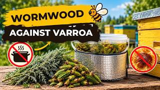 Wormwood against varroa — the whole recipe, no boiling (KAS-81)