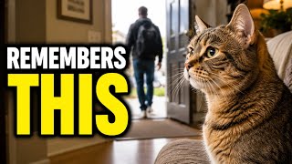 Your Cat Remembers THIS Every Time You Leave the House