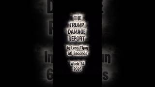 The Trump Damage Report         Week 24 2026