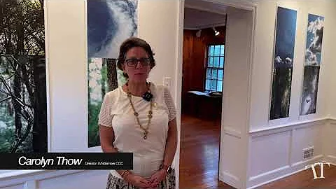 No Filter:  A Day at Whittemore | Val Sivilli and ...