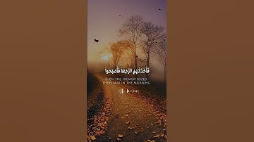 تلاوة هادئة من سورة الأعراف اية 90♥♥||وَقَالَ الْمَلأُ الَّذِينَ كَفَرُواْ مِن قَوْمِهِ #reels