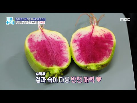 겉과 속 다른 <strong>수박무</strong>?!, MBC 241028 방송