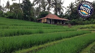 Alam Balian Hidden Paradise | Bali, Indonesia | Hotel Review 🛏️