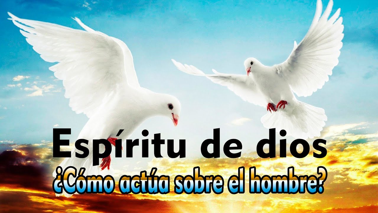 Vídeo: 