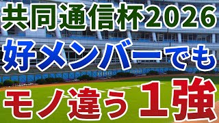 共同通信杯2026【絶対軸1頭】公開！ロブチェンでもべレシートでもない！素質馬集結でも頭ひとつ抜けた１強は？
