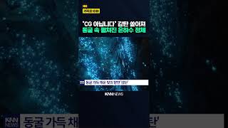 3천만 년 동굴 속 펼쳐진 반딧불 은하수 '감탄' / KNN