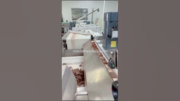 flow wrapper,chocolate packaging machine,chocolate wrapping machine,automatic packaging machine