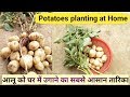 How to grow potato at home | आलू को घर मे उगाने का आसान तारिका