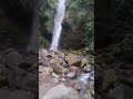Famous water Fall Sikkim Kanchanjangha #naturelovers #sikkim #waterfall #jamuikavlogger #highlights